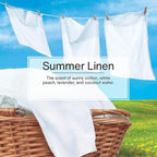 Cardboard Hanging Car, Home & Office Air Freshener, Summer Linen (Pack of 24)