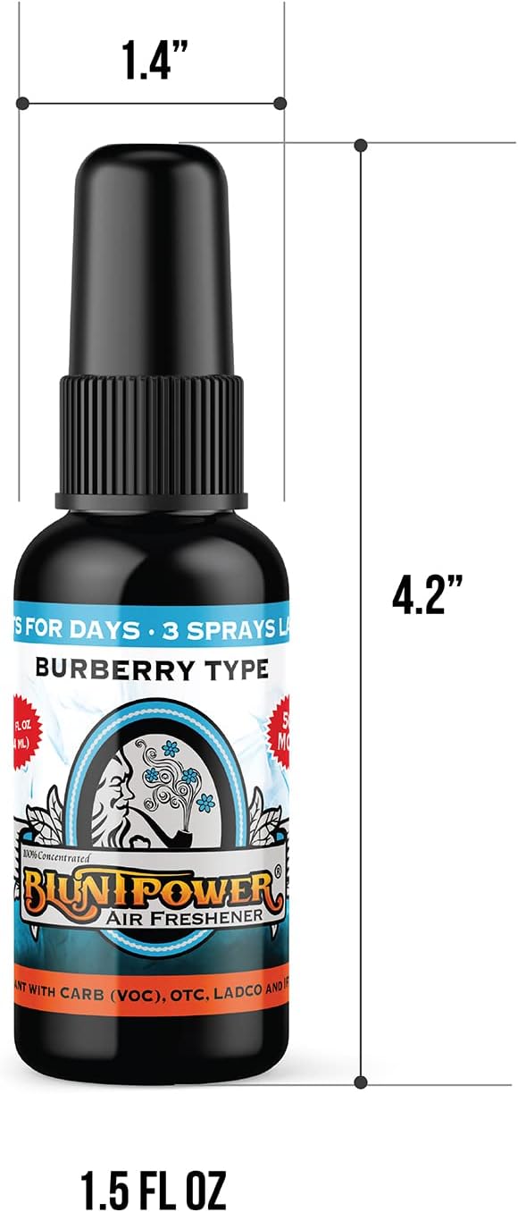 (Blueberry, 1 Pack) Concentrated Air Freshener for Room and Car Spray - Oil-Based Diffuser Spray Bottle - Long-Lasting Bathroom Spray, Car Freshener, & Odor Eliminator Spray