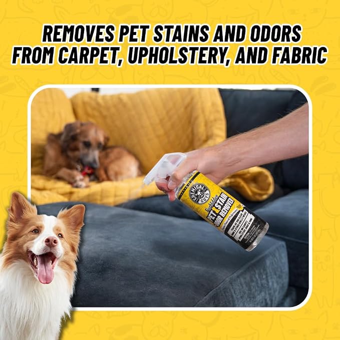 Pet Mess Cleaning Kit, Furbidden Odor Eliminator 16 oz with Interior Detailing Brush Cleans, Pet Smells, Hair and Light Dirt for Cars Trucks SUVs Home Interiors and Upholstery Care