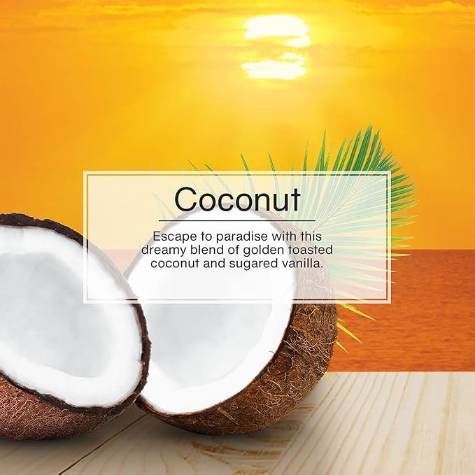 Car Air Freshener | Xtra Strength Provides Long-Lasting Scent for Auto or Home | Extra Boost of Fragrance | Coconut, 24 Air Fresheners