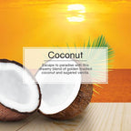 Car Air Freshener | Xtra Strength Provides Long-Lasting Scent for Auto or Home | Extra Boost of Fragrance | Coconut, 24 Air Fresheners