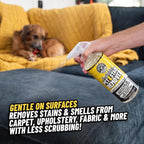 Furbidden Pet Stain Remover for Car & Home, Carpet & Upholstery Cleaner, Eliminates Pet Odors & Stains from Urine & Vomit, Multi-Surface Pet Odor Neutralizer - 16 oz