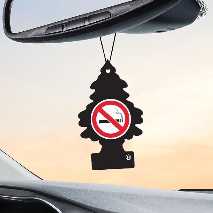 Car Air Freshener 6-Pack (NO Smoking)