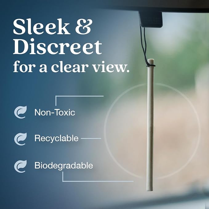 Non-Toxic* Car Air Freshener Auto Stix® - Scents Made Safer - Enjoy Fragrance Lasts Up to 180 Days - Includes Auto Stix® Diffusers & Elastic Loops - Coastal Storm & Teakwood (Pack of 3)