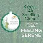 Solid Air Freshener, Bamboo Rainforest, 8 Ounce (Pack of 12)