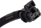 GM Genuine Parts 15803483 Tail Light Wiring Harness