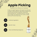Apple Harvest Hanging Car Air Freshener, 2-Pack Premium Fragrance Oil Diffuser for Car and Closet, Warm Apple Spice Scent, Handcrafted in the USA
