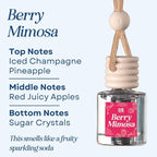 CANDECraftCo Car Air Hanging Fragrance Oil, Car Auto Freshener for Essential Oils, Scents Fragrance Aromatherapy Automobile Diffuser, Long Lasting (Berry Mimosa)