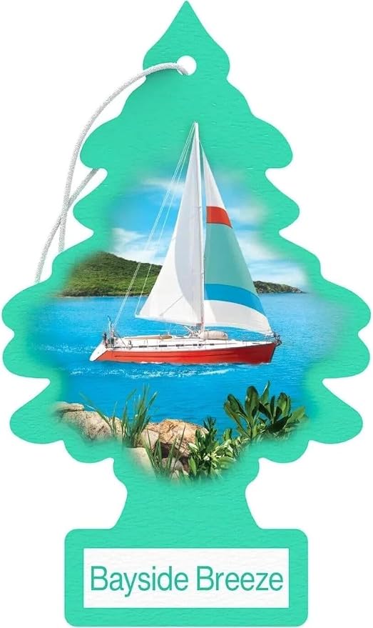 Cardboard Hanging Car, Home & Office Air Freshener, Bayside Breeze (Pack of 12)