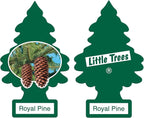 Car Air Freshener | Hanging Paper Tree for Home or Car | Royal Pine | 12 Pack