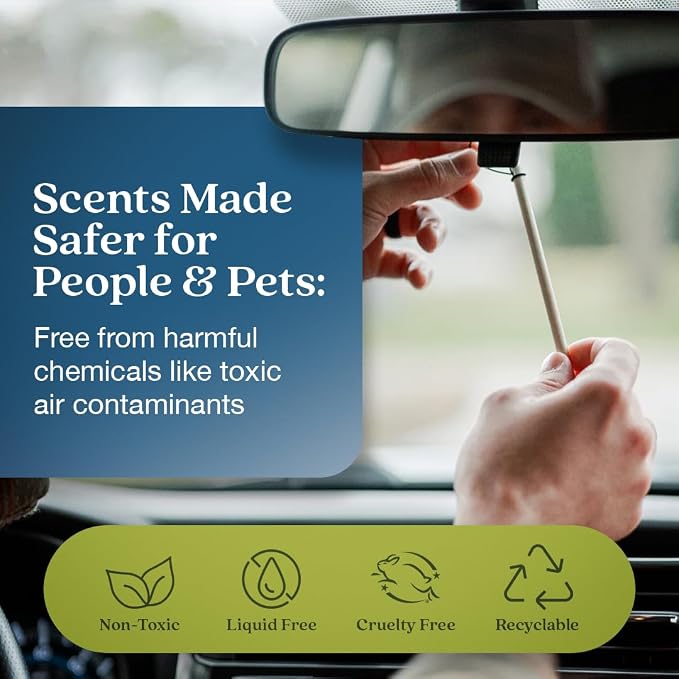 Non-Toxic* Car Air Freshener Auto Stix® - Scents Made Safer - Enjoy Fragrance Lasts Up to 180 Days - Includes Auto Stix® Diffusers & Elastic Loops - Coastal Storm & Teakwood (Pack of 3)