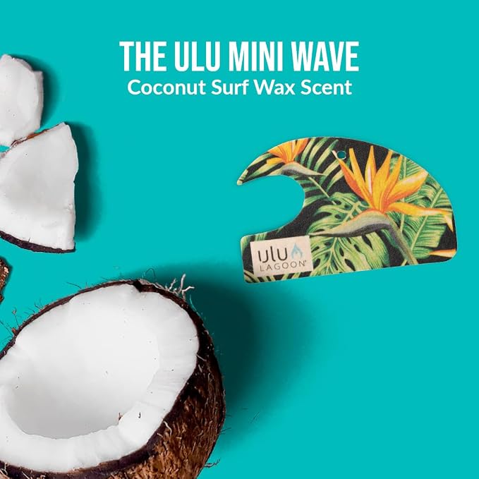 Hanging Car Air Freshener | Tropical Beach Coconut Surf Wax Scent Mini Wave | Long Lasting Car Freshener, Closet and Beyond | Made In USA | 3 Pack (Birds of Paradise)