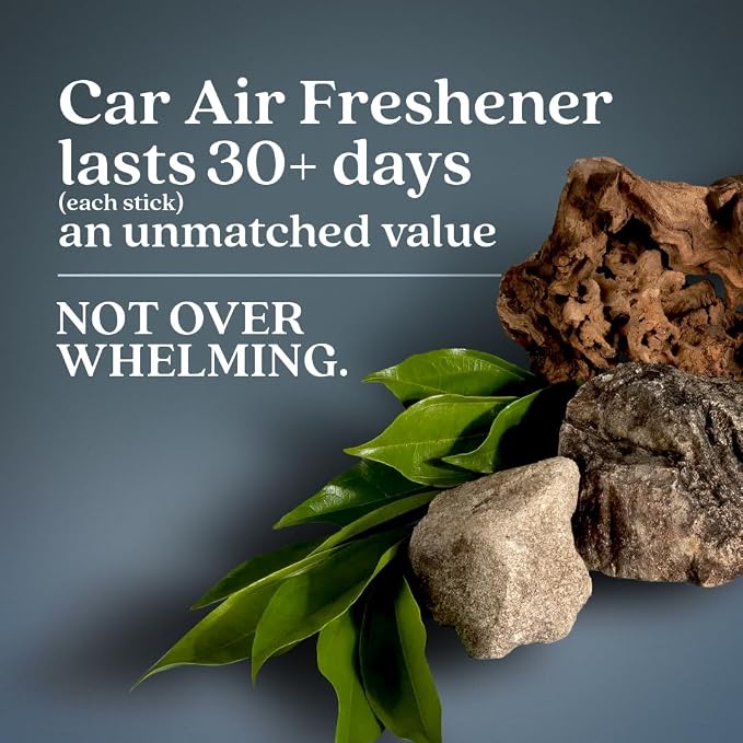 Non-Toxic* Car Air Freshener Auto Stix® - Scents Made Safer - Enjoy Fragrance Lasts Up to 480 Days - Includes Auto Stix® Diffusers & Elastic Loops - Coastal Storm & Teakwood (Pack of 8)