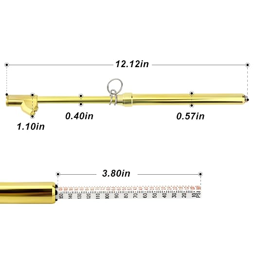 2PCS Gold Double Straight Type Tire Pressure Gauge, Dual Head Air Pressure Gauge, Pressure Range 10-150 Psi (Suitable for Trucks, etc.)