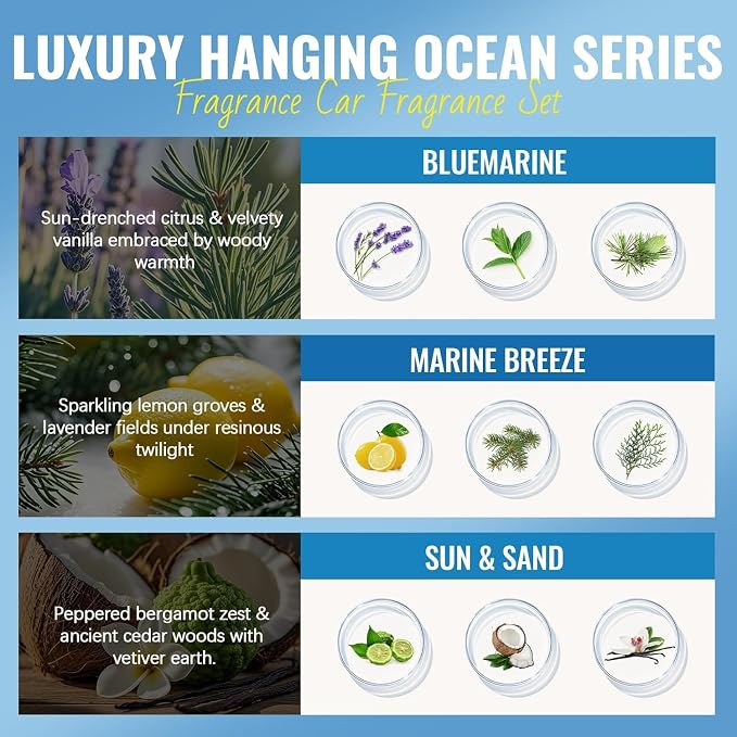 Aeshory Hanging Car Air Freshener, 3-Pack Bluemarine Collection, Long Lasting Car Scent, Unisex, Premium Aromatherapy Essential Oil Diffuser, Gift Set