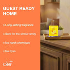 AER Power Pocket Lemon Tangy Delight Solid Gel Air Freshener for the Entire Home with Long Lasting Scent, Pack of 6