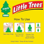 Car Air Freshener | Hanging Paper Tree for Home or Car | Royal Pine | 6 Pack