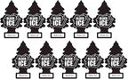 LittIe Trees Car Freshener, Black Ice Scent, 10-Pack