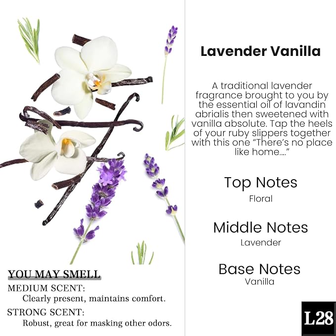 Car Air Freshener Diffuser 2 Pack Hanging Air Freshener Diffuser -Lavender Vanilla Fragrance Oil Air D iffuser for Car, 45+ days Long Lasting Fragrance Made in USA C ar Air Fresheners (L28)