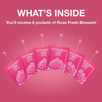 AER Power Pocket Rose Fresh Blossom Solid Gel Air Freshener for the Entire Home with Long Lasting Scent, Pack of 6