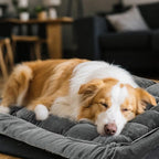 Dog Bed for Car Back Seat Soft Plush Backseat Pet Bed Mat Non-Slip Travel Pet Mat, Fuzzy Plaid Dog Seat Cover, Fit for Backseat Extenders and Trucks SUVs (Glossy-Dark Gray, 54" x 24.8")