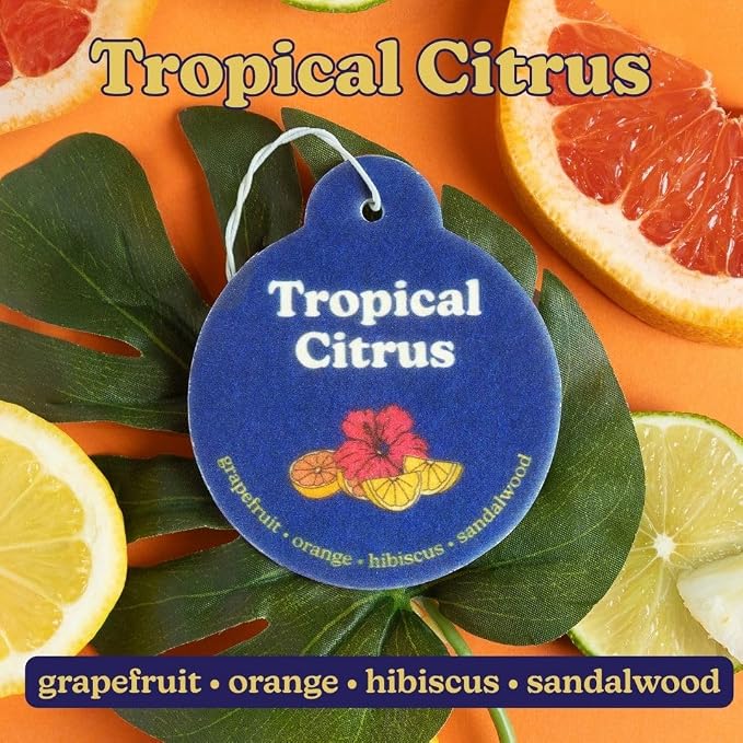 Summer Mix Car Charms 4-Pack Included Scents: Coastal Tide, Bronzed Coconut, Tropical Citrus, Florence
