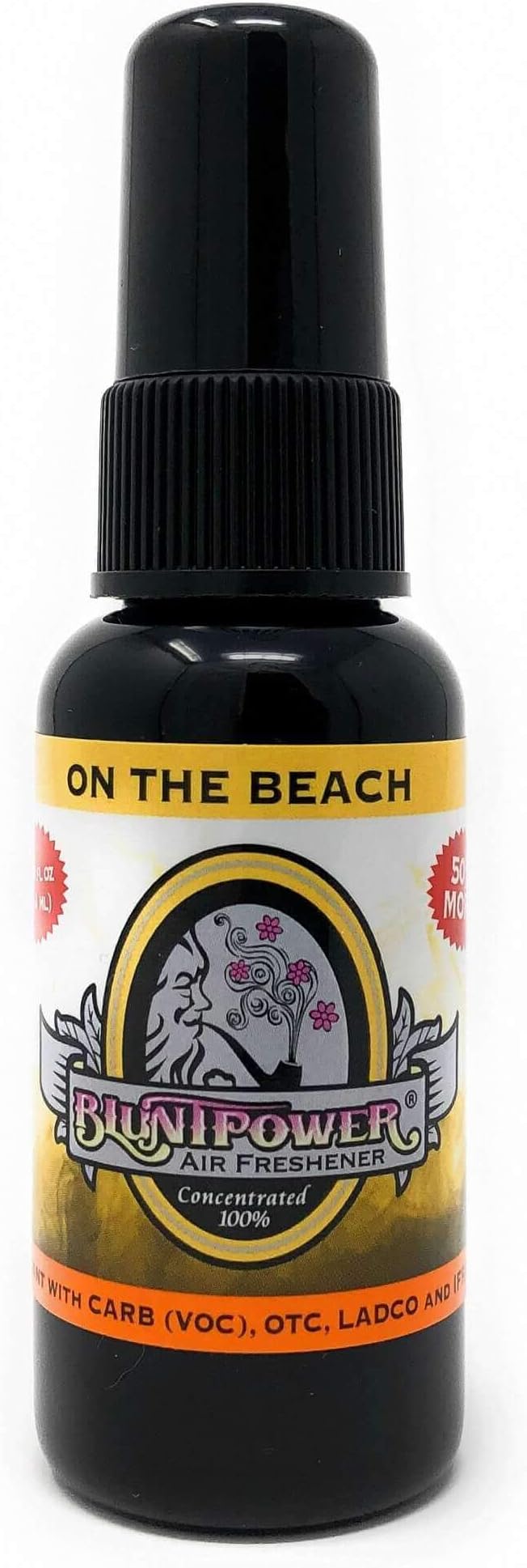 (On the Beach, 1 Pack) Concentrated Air Freshener for Room and Car Spray - Oil-Based Diffuser Spray Bottle - Long-Lasting Bathroom Spray, Car Freshener, & Odor Eliminator Spray
