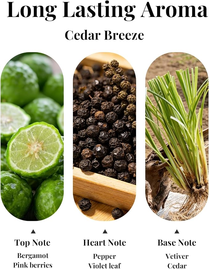 Car Air Fresheners, Hanging Car Freshener 2 Packs, Refreshing Cedar Breeze Scent for Car, Closet and More, Effective Auto Odor Eliminator, Long Lasting & Safe Formula Car Aroma Diffuser