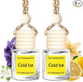 Hanging Car Air Freshener, Long Lasting Scent, Cute Air Fresheners for Women, 2 Pack Non-Toxic Essential Oil Diffuser, Made in USA