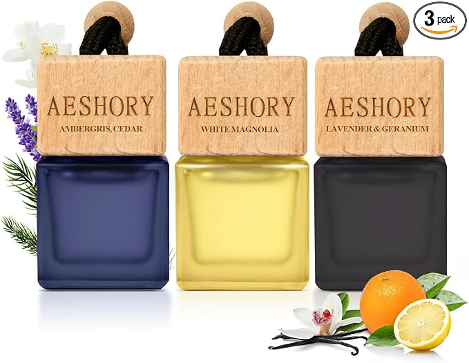 Aeshory Hanging Car Air Freshener, 3-Pack Hotel Collection, Long Lasting Scent Inspired by Ritz-C Hotels, Baccarat & W Hotels, Unisex Fragrance, 0.27 FL OZ (8ML)