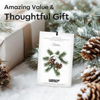 12 Pack Cedarwood Scented Sachets for Drawer, Closet & Small Spaces Air Freshener Bags, Odor Eliminator for Car, Shoes, Gym Bag Home Fragrance Gift Set