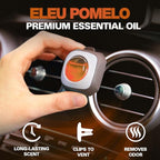 Eleu Pomelo Scent Car Air Freshener Vent Clip 6 Ct | Long Lasting Up To 180 Days Car Refresher, Auto Interior Odor Eliminator Fragrance Oil Perfume Accessory, 4ml Each
