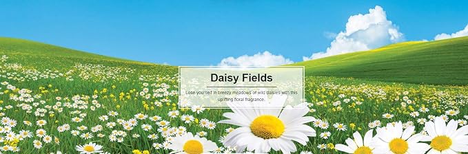 076171673473 Daisy Fields Hanging Paper Tree for Home or Car, 6 Pack