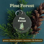 Earthy Mix Car Charms 4-Pack - Includes: Moonshadow, Pine Forest, Vanilla Sandalwood and Vintage Leather