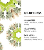 Car Diffuser Refill Set, Wilderness | Lime Grapefruit Patchouli Notes, 2 Ceramic Inserts, Fits Vent Clips, 4-Week Diffusion, Made in France