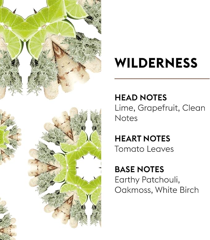 Car Diffuser Refill Set, Wilderness | Lime Grapefruit Patchouli Notes, 2 Ceramic Inserts, Fits Vent Clips, 4-Week Diffusion, Made in France