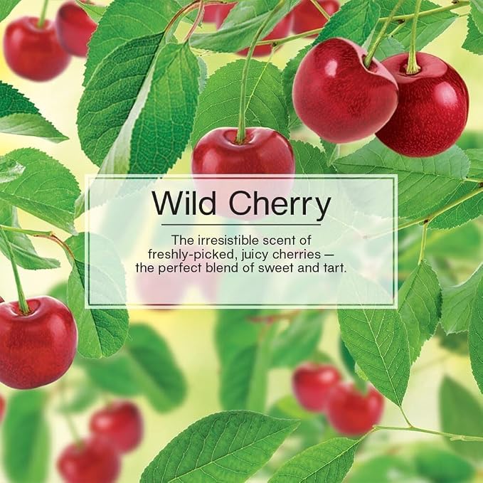 Car Air Freshener | Hanging Paper Tree for Home or Car | Wild Cherry | Pack of 6