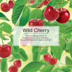 Car Air Freshener | Hanging Paper Tree for Home or Car | Wild Cherry | 4 Pack