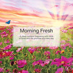 Car Air Freshener | Hanging Paper Tree for Home or Car | Morning Fresh | Pack of 3
