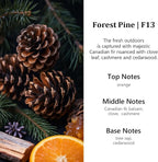 Car Air Freshener Diffuser 2 Pack Hanging Air Freshener Diffuser - Forest Pine Fragrance Oil Air D iffuser for Car, 45+ Days Long Lasting Fragrance Made in USA (F13)