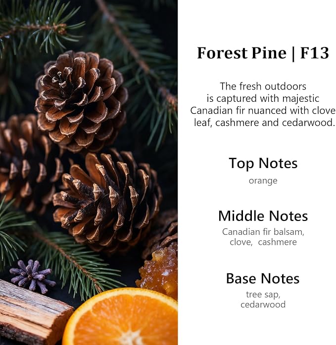 Car Air Freshener Diffuser 2 Pack Hanging Air Freshener Diffuser - Forest Pine Fragrance Oil Air D iffuser for Car, 45+ Days Long Lasting Fragrance Made in USA (F13)