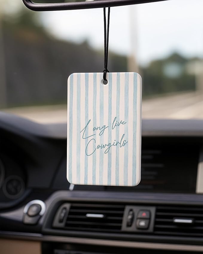 Blue Western Car Air Freshener 4 Pcs Coconut Scented, Country Bull Skull Cactus Horseshoe Car Accessories Mirror Decor for Women, Western Hanging Air Freshener for Cars Closet Drawer Books