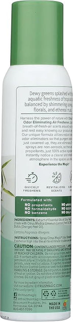 Odor Eliminating Air Freshener Spray, Bamboo Rainforest, 3-Ounce, Pack of 3