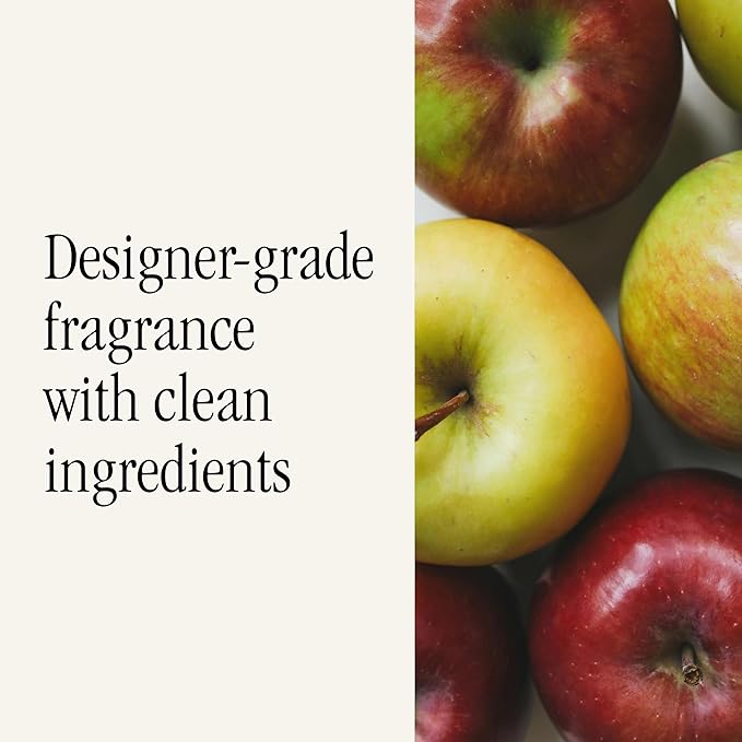 Car Scent Refill - Fragrance for Car Diffuser - Clean & Safe Luxury Diffuser Scent - Long-Lasting Fragrance for 30 Days of Aroma - Apple Orchard