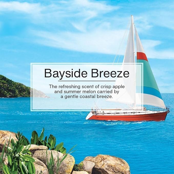 Cardboard Hanging Car, Home & Office Air Freshener, Bayside Breeze (Pack of 12)