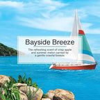 Cardboard Hanging Car, Home & Office Air Freshener, Bayside Breeze (Pack of 12)