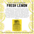 Wonder Wafers 250 Count Unwrapped Automobile Professional Use Air Fresheners Car and Truck Detail (Fresh Lemon)