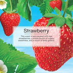 Car Air Freshener | Xtra Strength Provides Long-Lasting Scent for Auto or Home | Extra Boost of Fragrance | Strawberry, 24 Air Fresheners