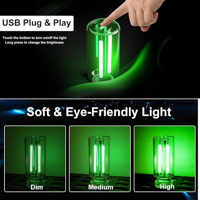 Hiseanllo 3PCS USB Car Interior Lights, Plug-in Glass Bottle Ambient Lamps for Cars, Portable Atmosphere Night Light, Universal Auto Interior Accessories (Green)