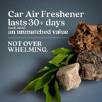 Non-Toxic* Car Air Freshener Auto Stix® - Scents Made Safer - Enjoy Fragrance Lasts Up to 180 Days - Includes Auto Stix® Diffusers & Elastic Loops - Coastal Storm & Teakwood (Pack of 3)